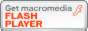 Flash Player